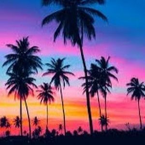 Meet your Posher, Cydney